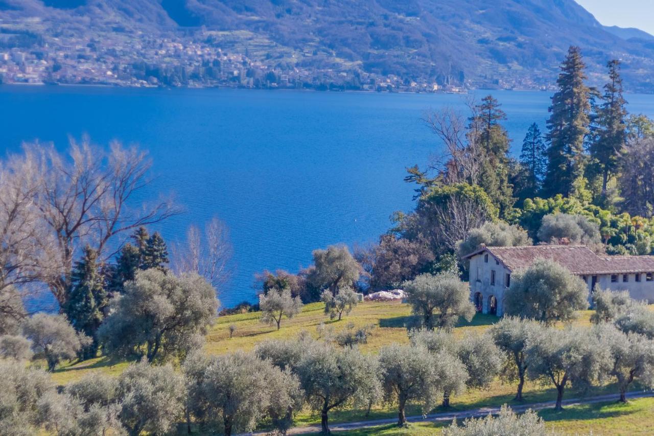 Apartment Ca' Maria Lavanda By Wonderful Italy Bellagio