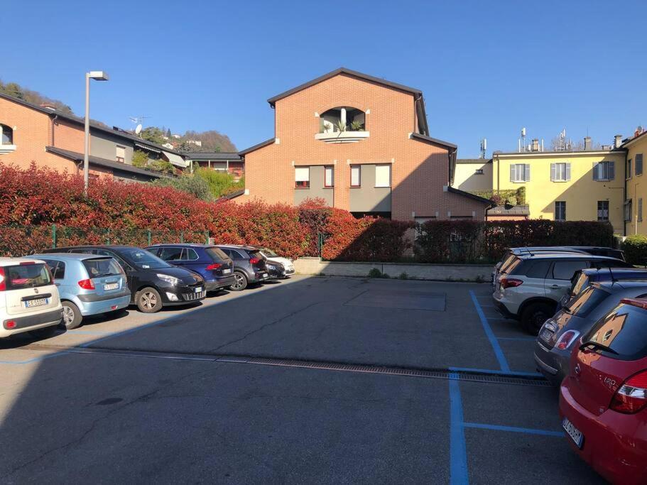L'ulivo Di Appartamento Côme