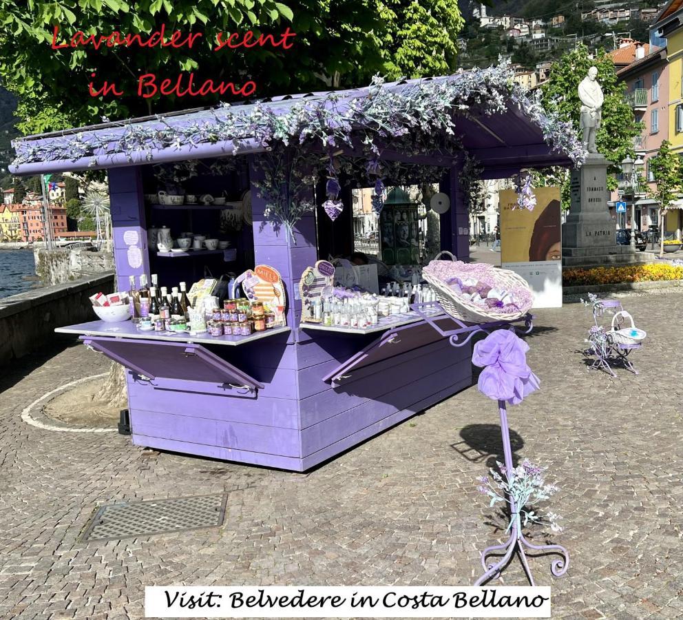 Apartment Belvedere In Costa - View