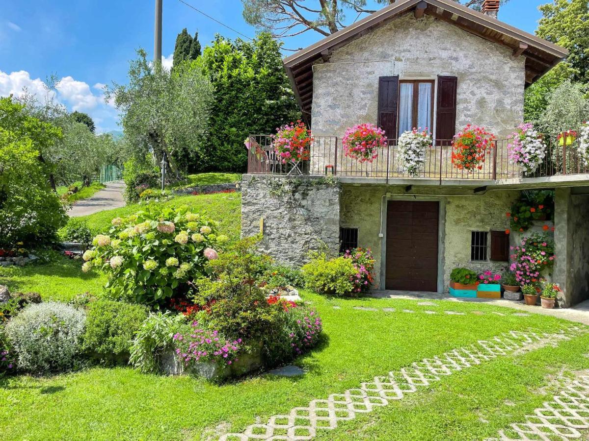 Breva Loft Tra Gli Ulivi Ed Il