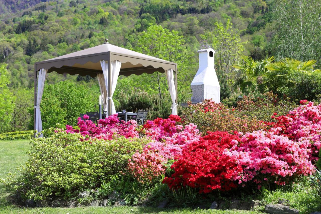Legnoncino Home- * Colico