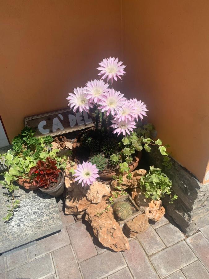 Holiday home Ca Del Fili *
