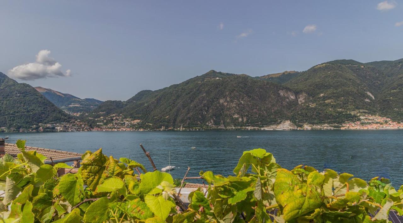Ninfea By Wonderful Italy *