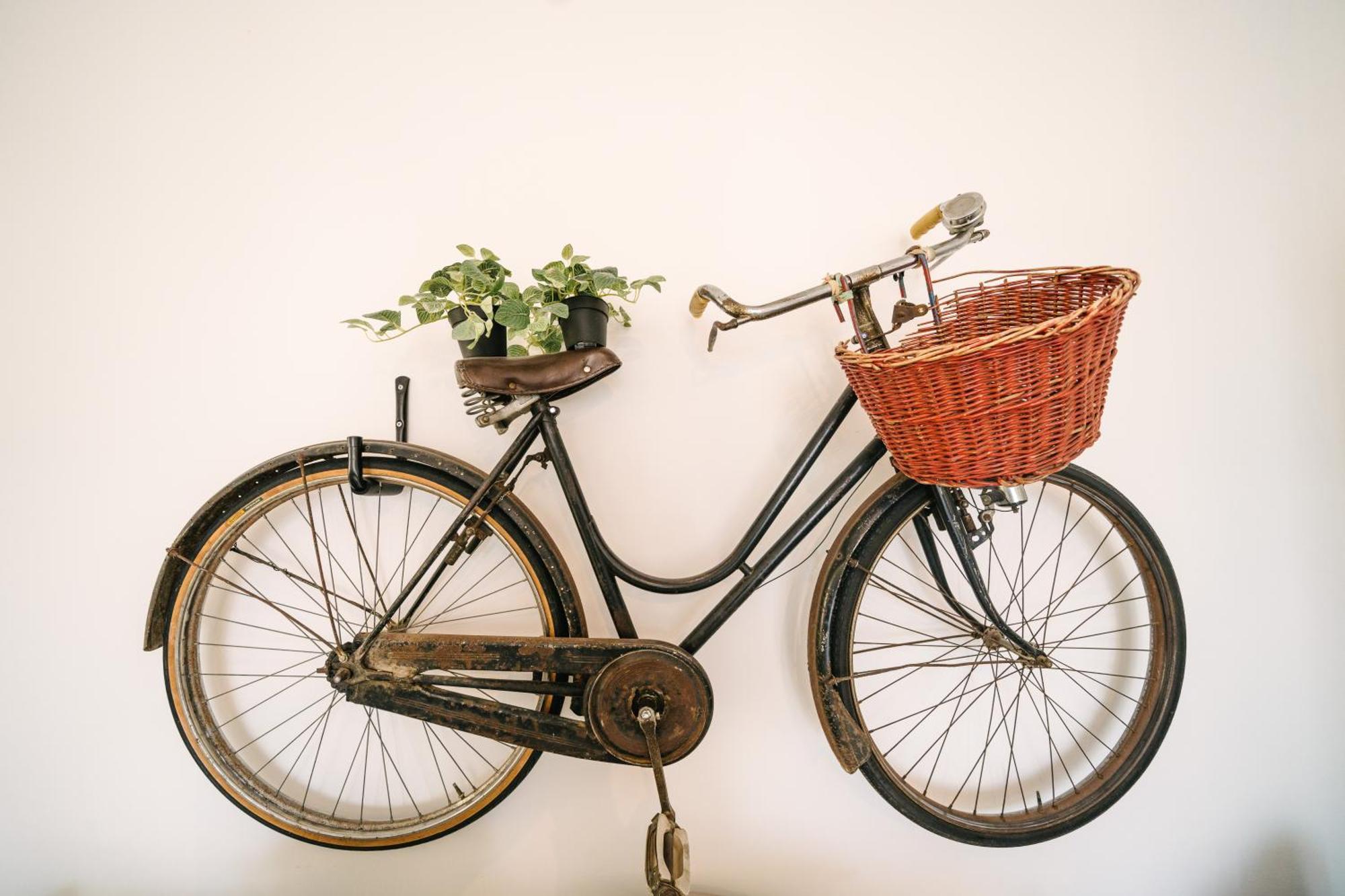 Bike & Family *