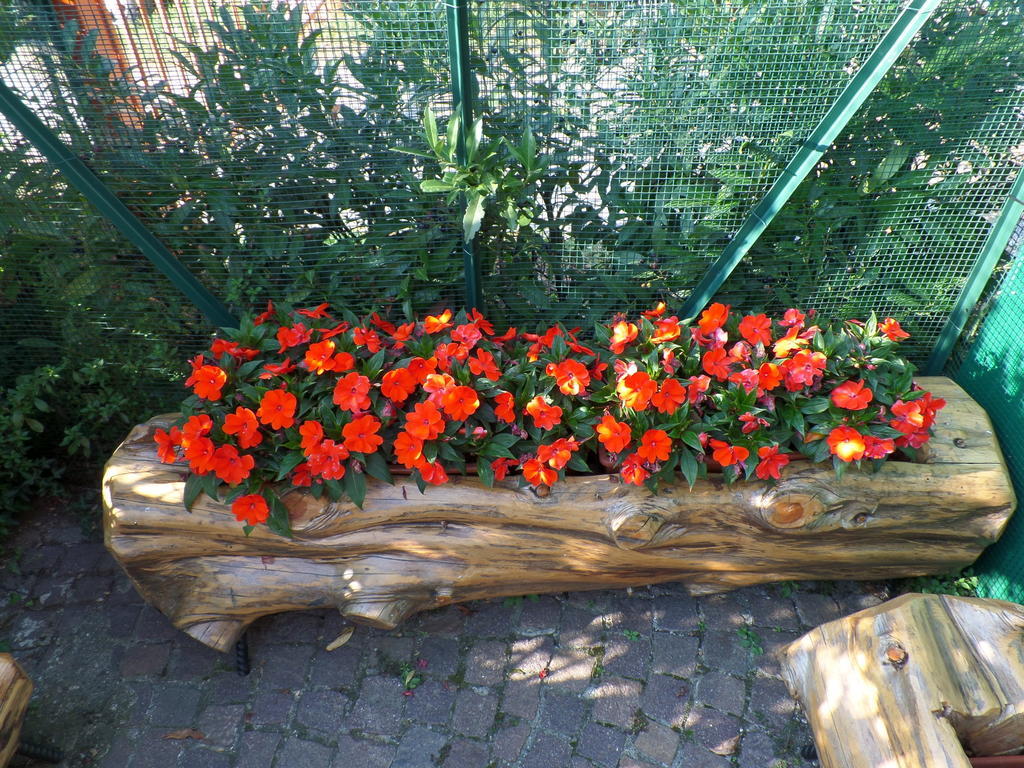 Partenza Funivia Bed & Breakfast *