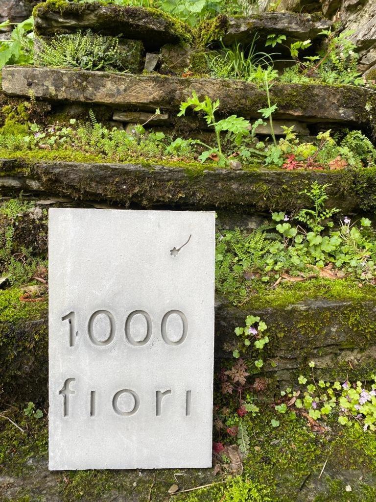 Casa 1000fiori Ferienhaus