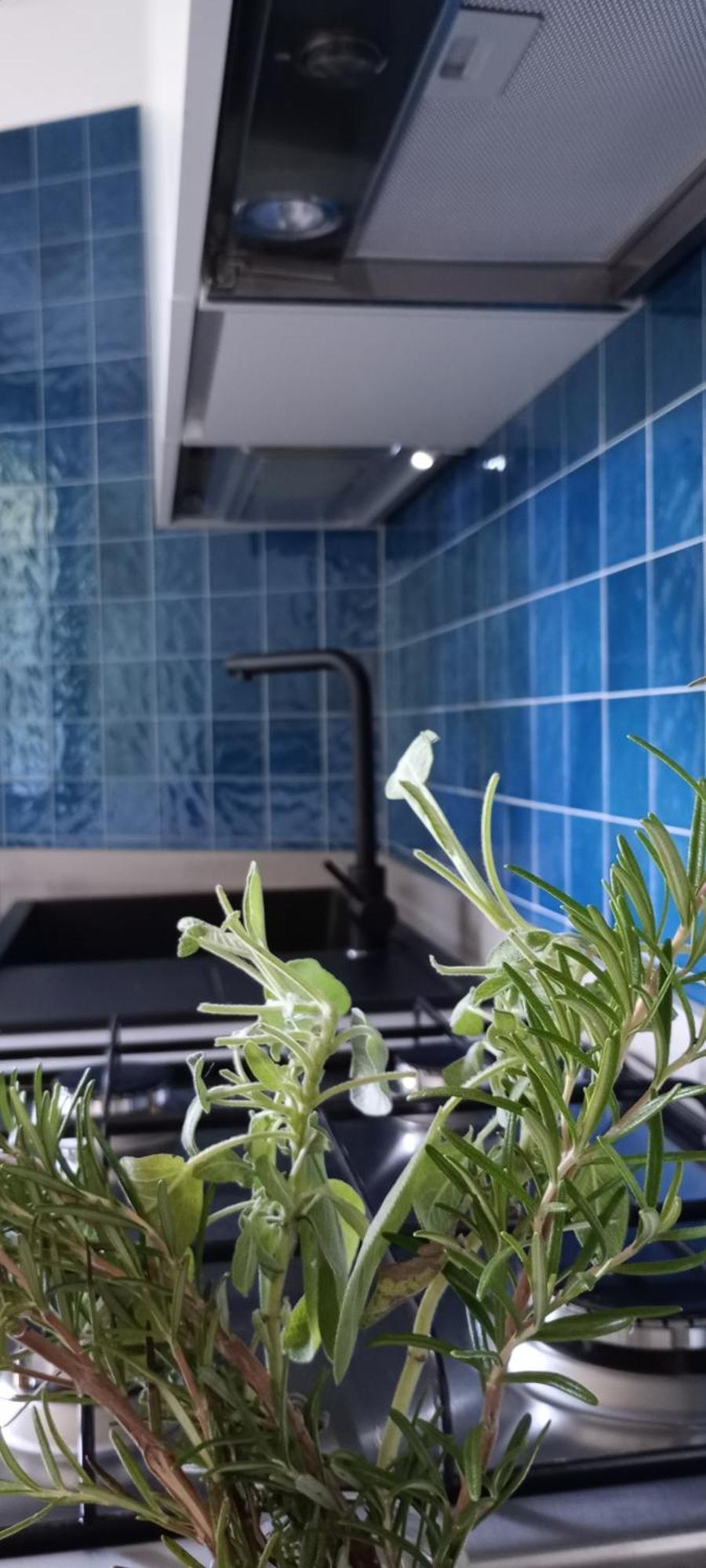 Casa Aurelia, *
