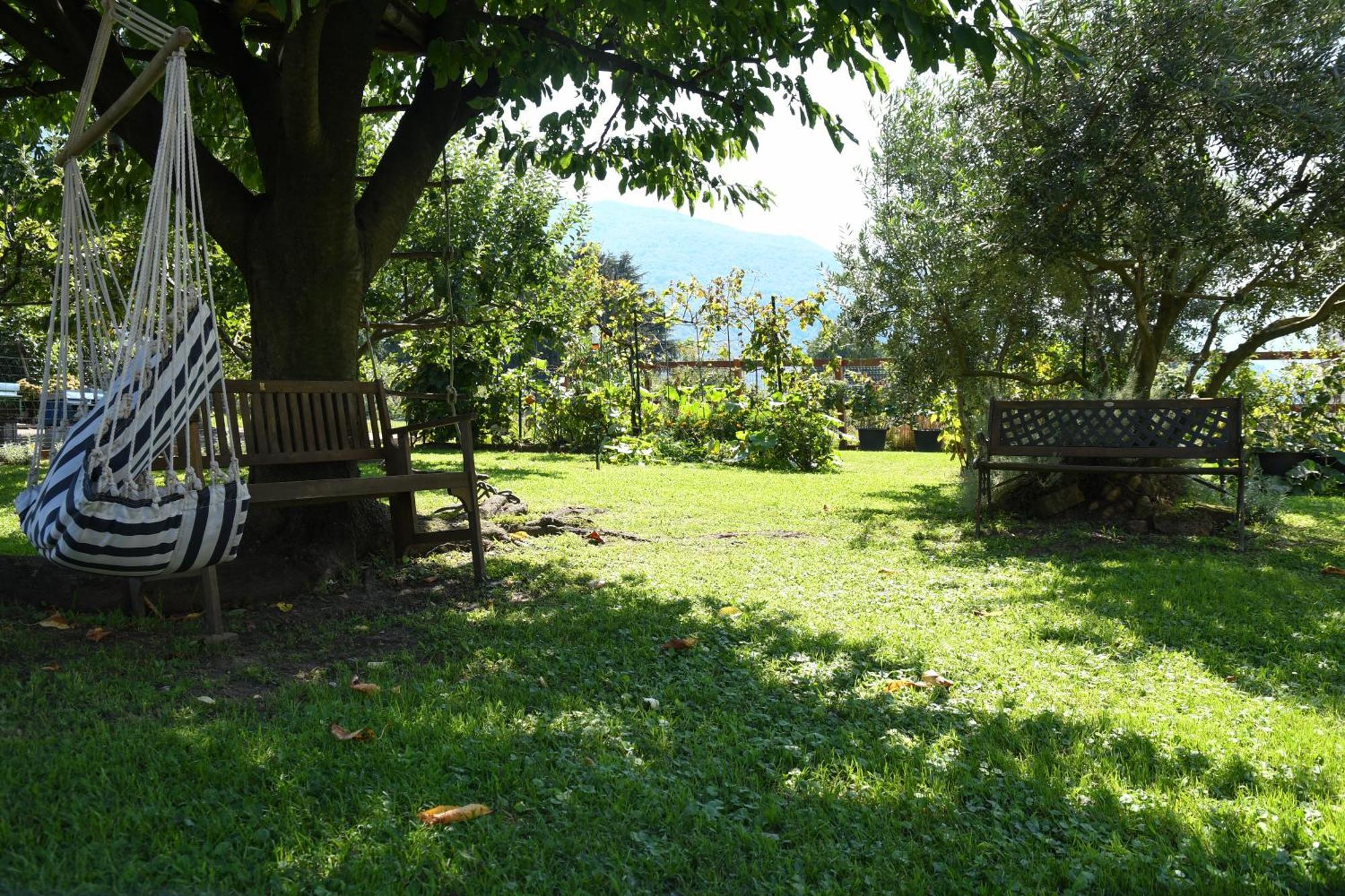 Il Giardino Dei Ciliegi Apartment *