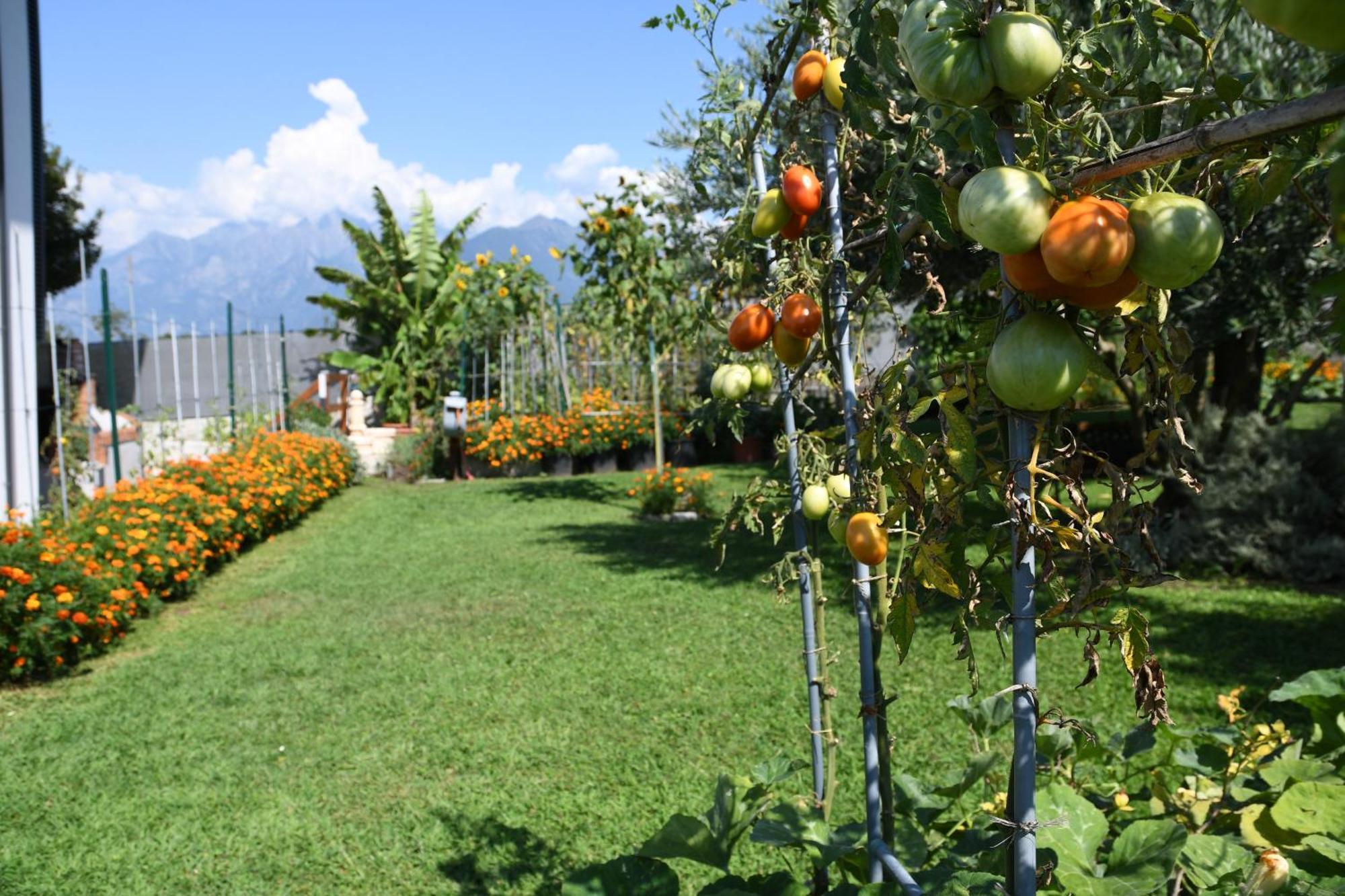 Il Giardino Dei Ciliegi * Colico