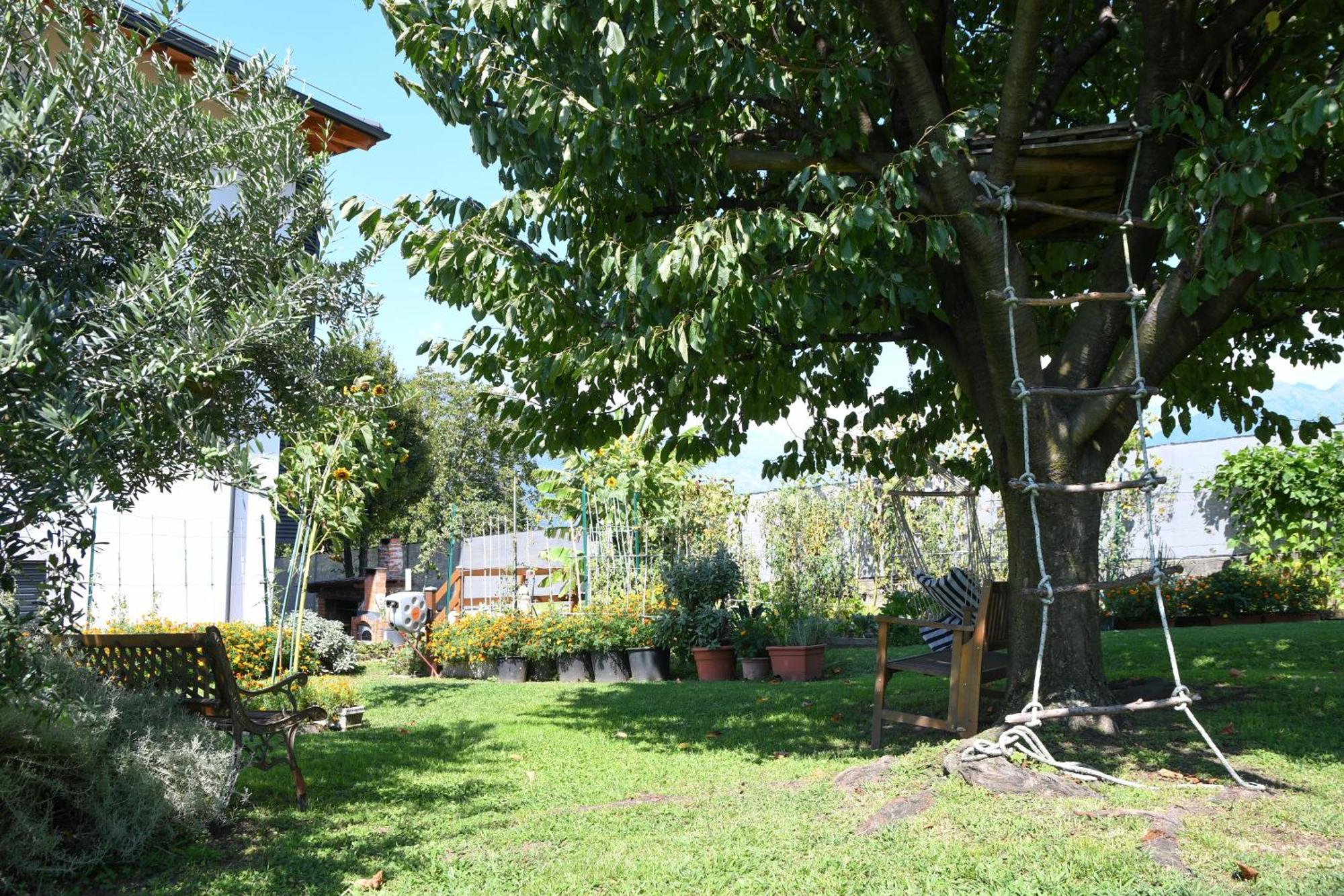 Il Giardino Dei Ciliegi *