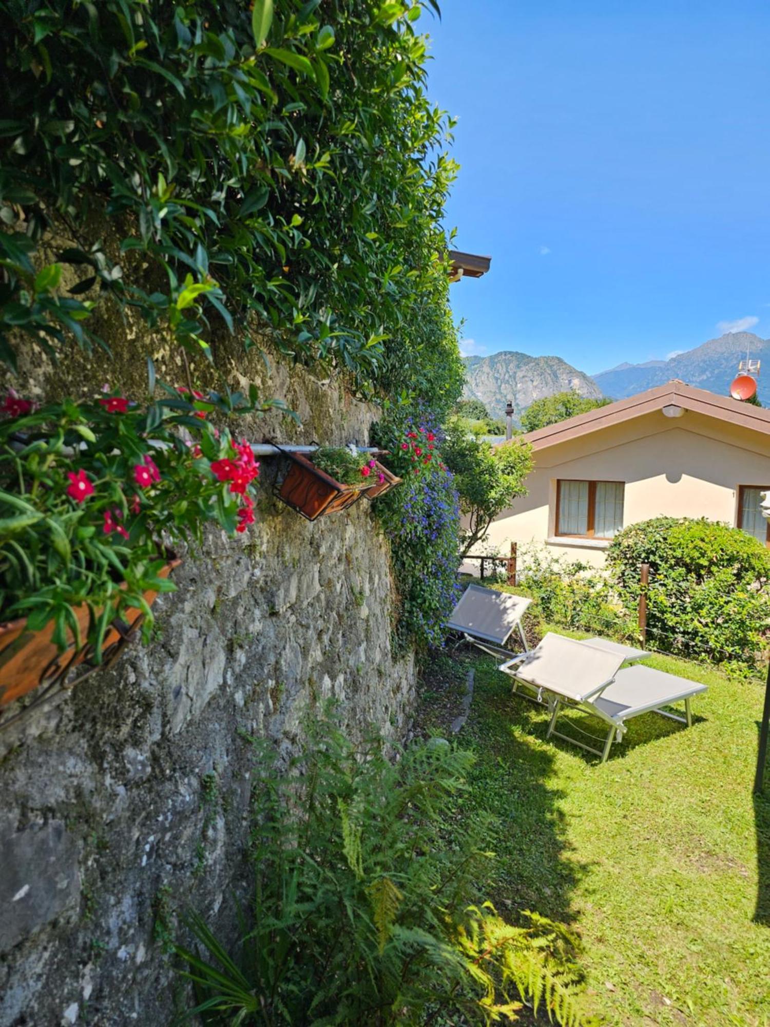 Apartment Rotonda