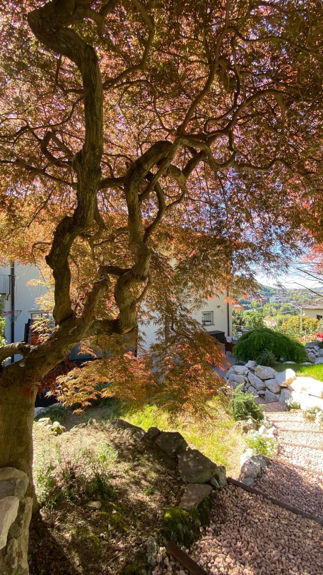 Holiday home I Faggi Rossi - Red Beech Trees Como