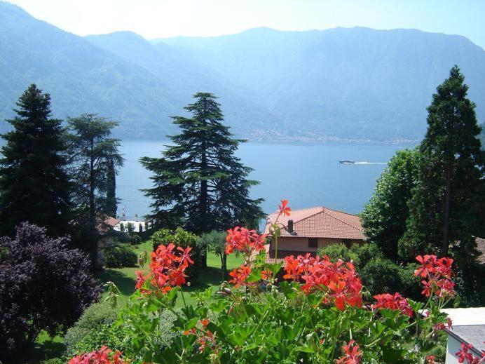 Lario 3*