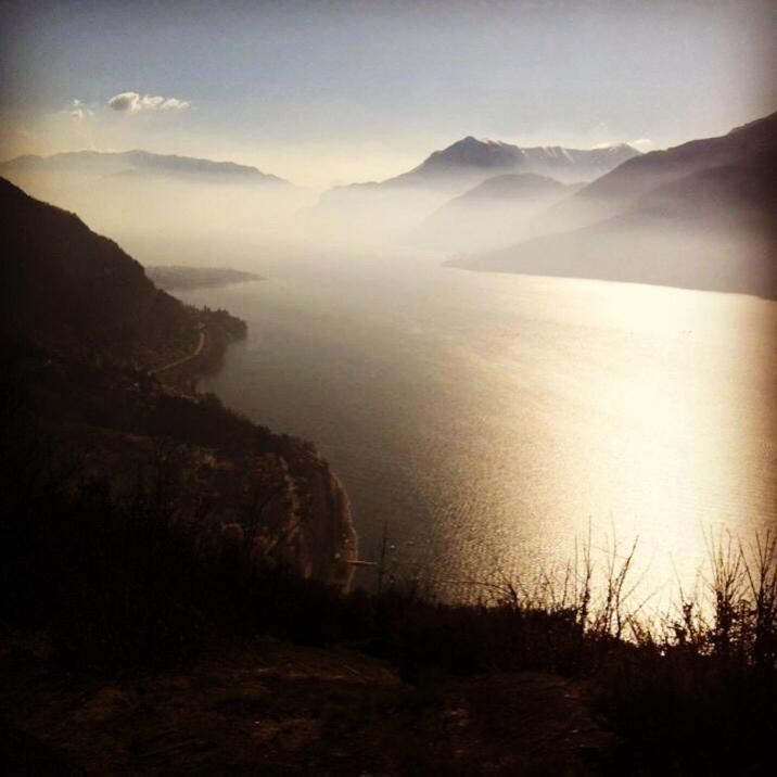 Gli Oleandri *