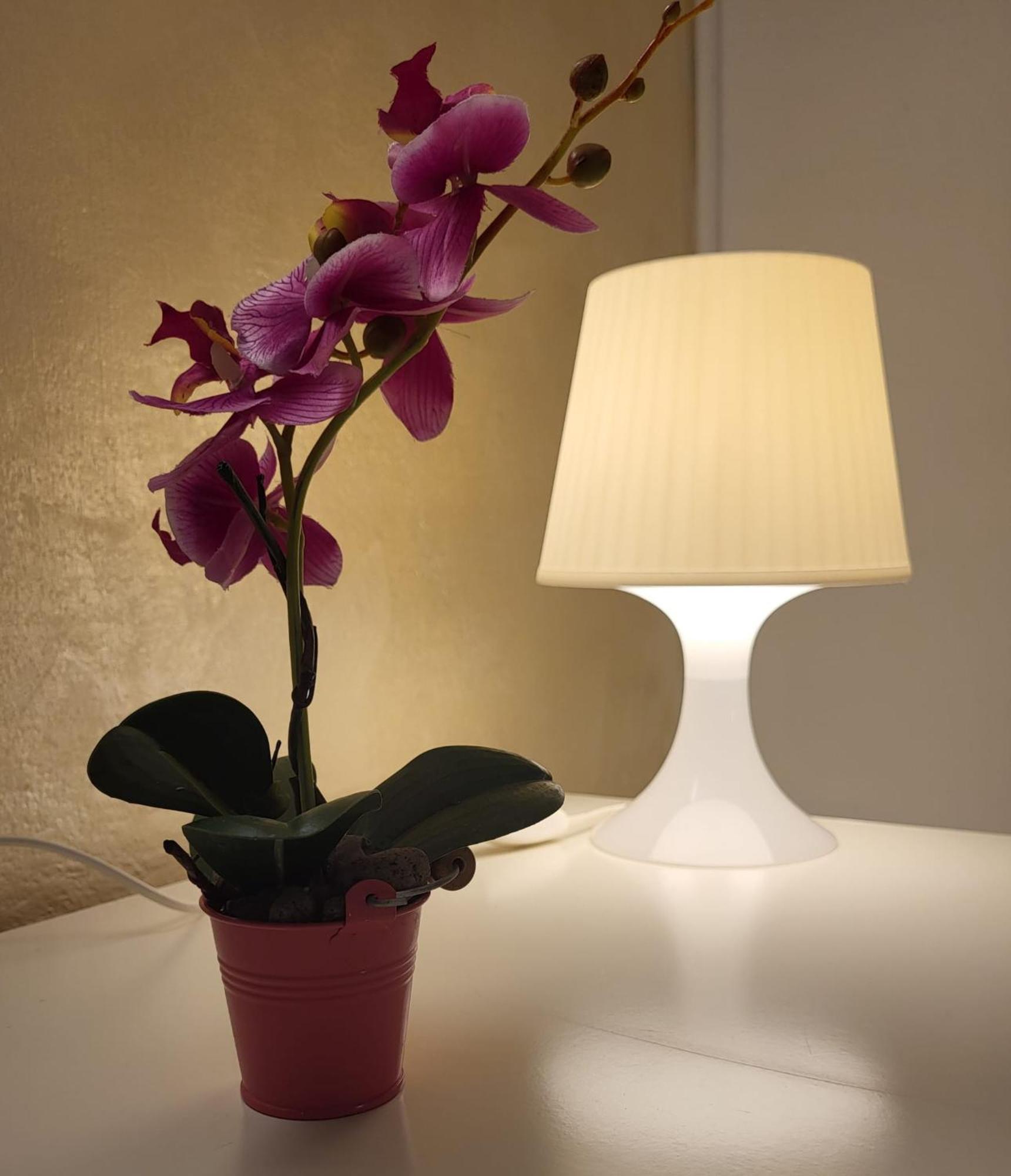Loft Borgo 13 *