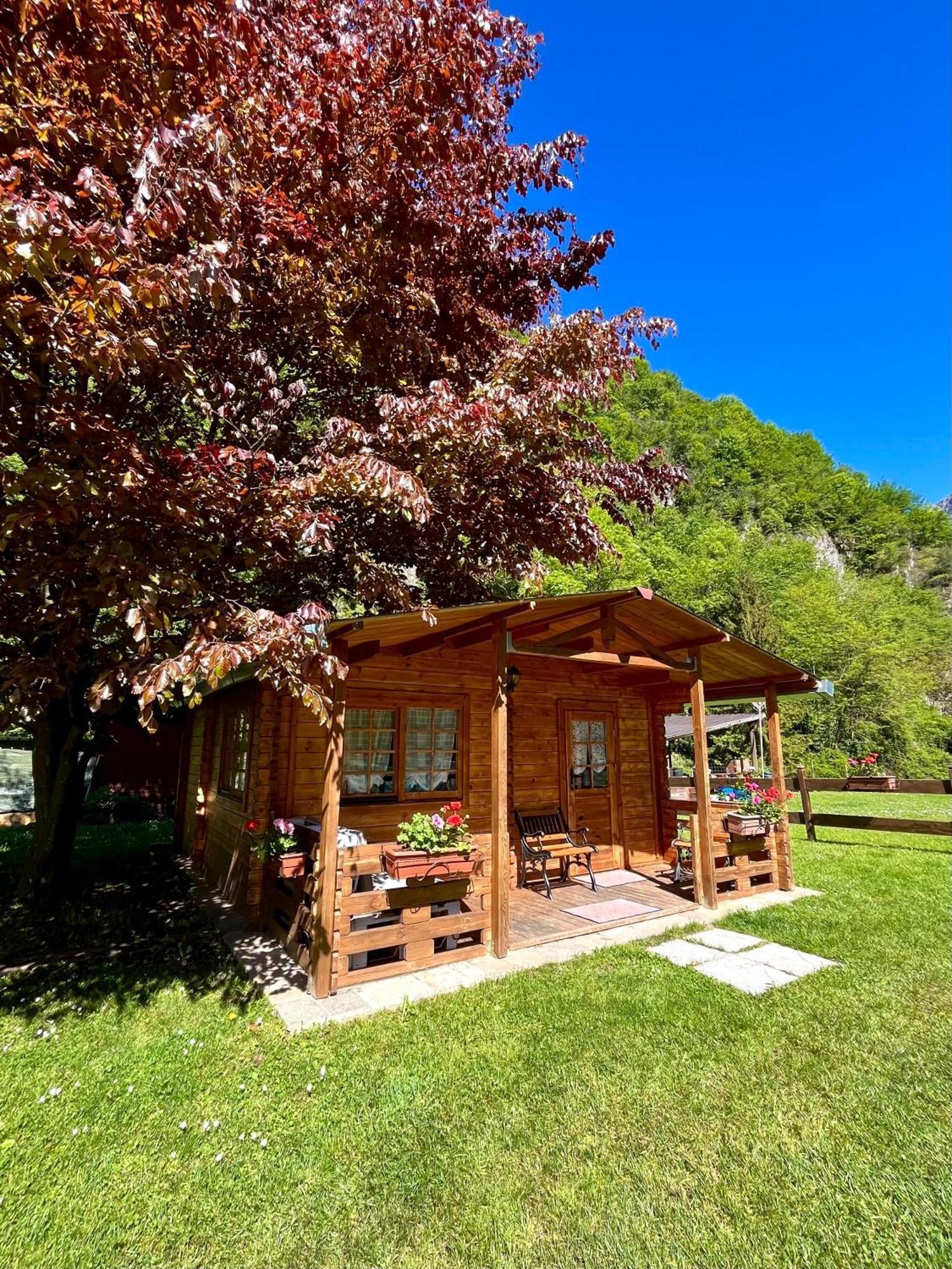Agriturismo La Vecchia Chioderia Farm stay Grandola ed Uniti
