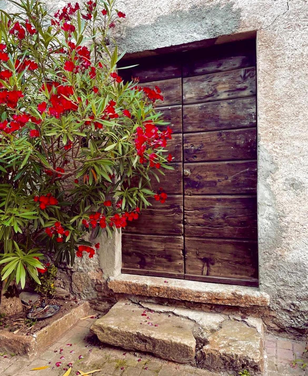 Agriturismo La Vecchia Chioderia * Grandola ed Uniti
