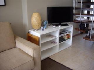 Lake View Apartment