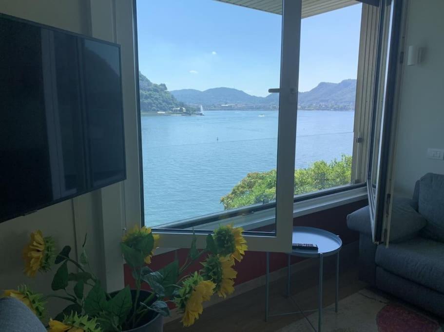 Lakeviewcabin - With View
