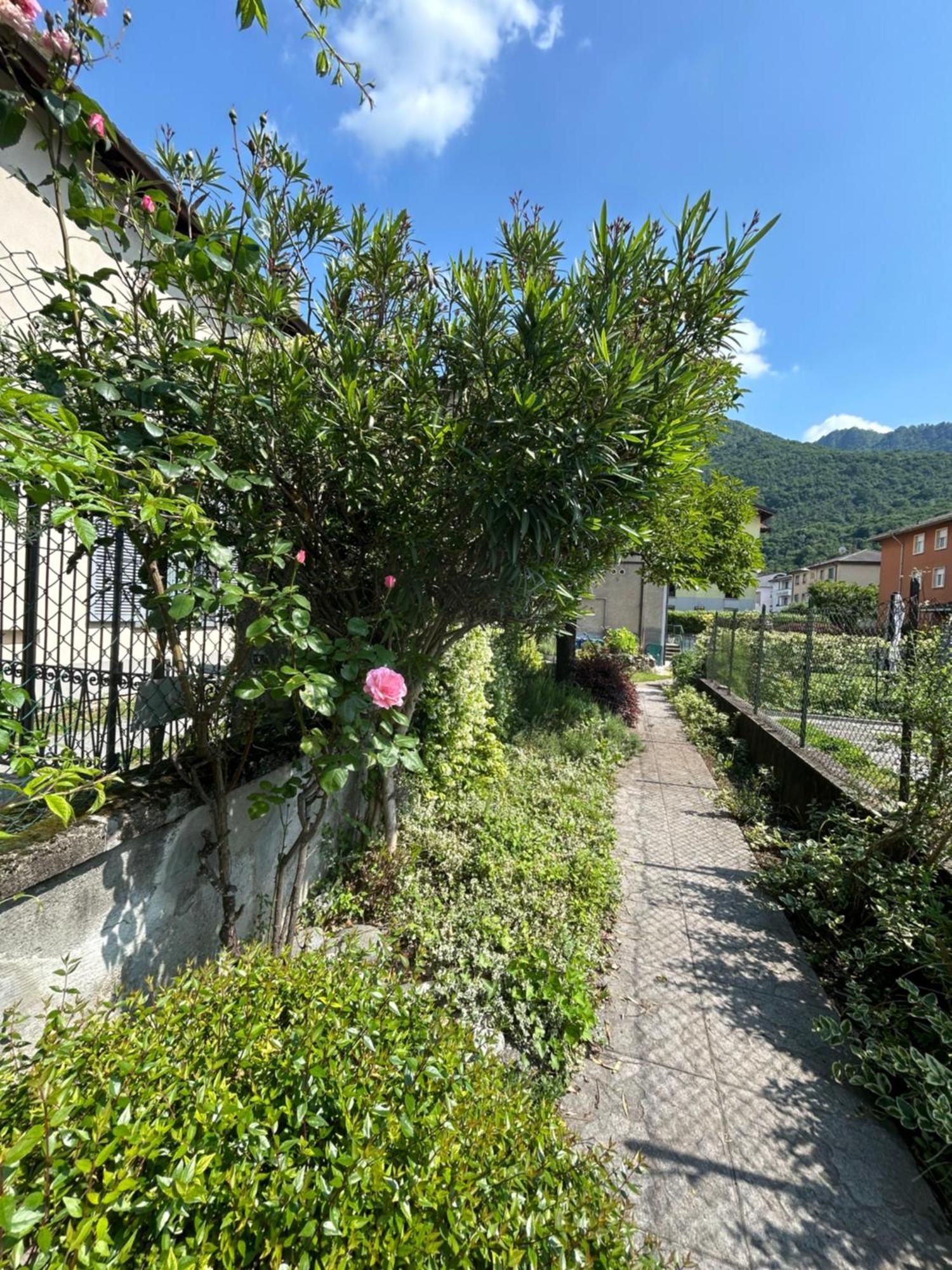 Acchiappasogni House *