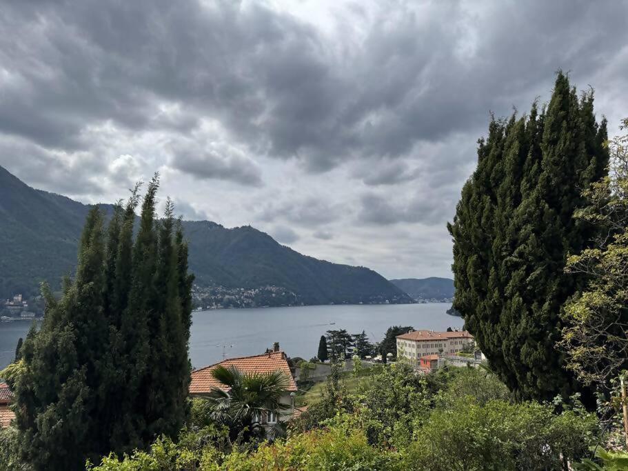 Luxury Luna Appartamento Moltrasio