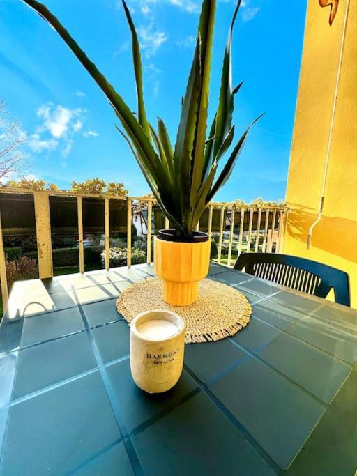 Casa Rio Apartment *