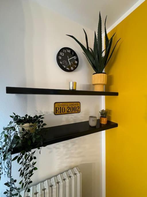 Casa Rio Apartment *