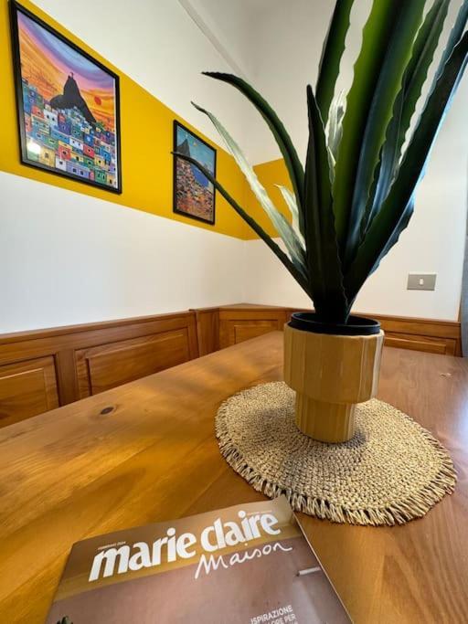 Casa Rio *