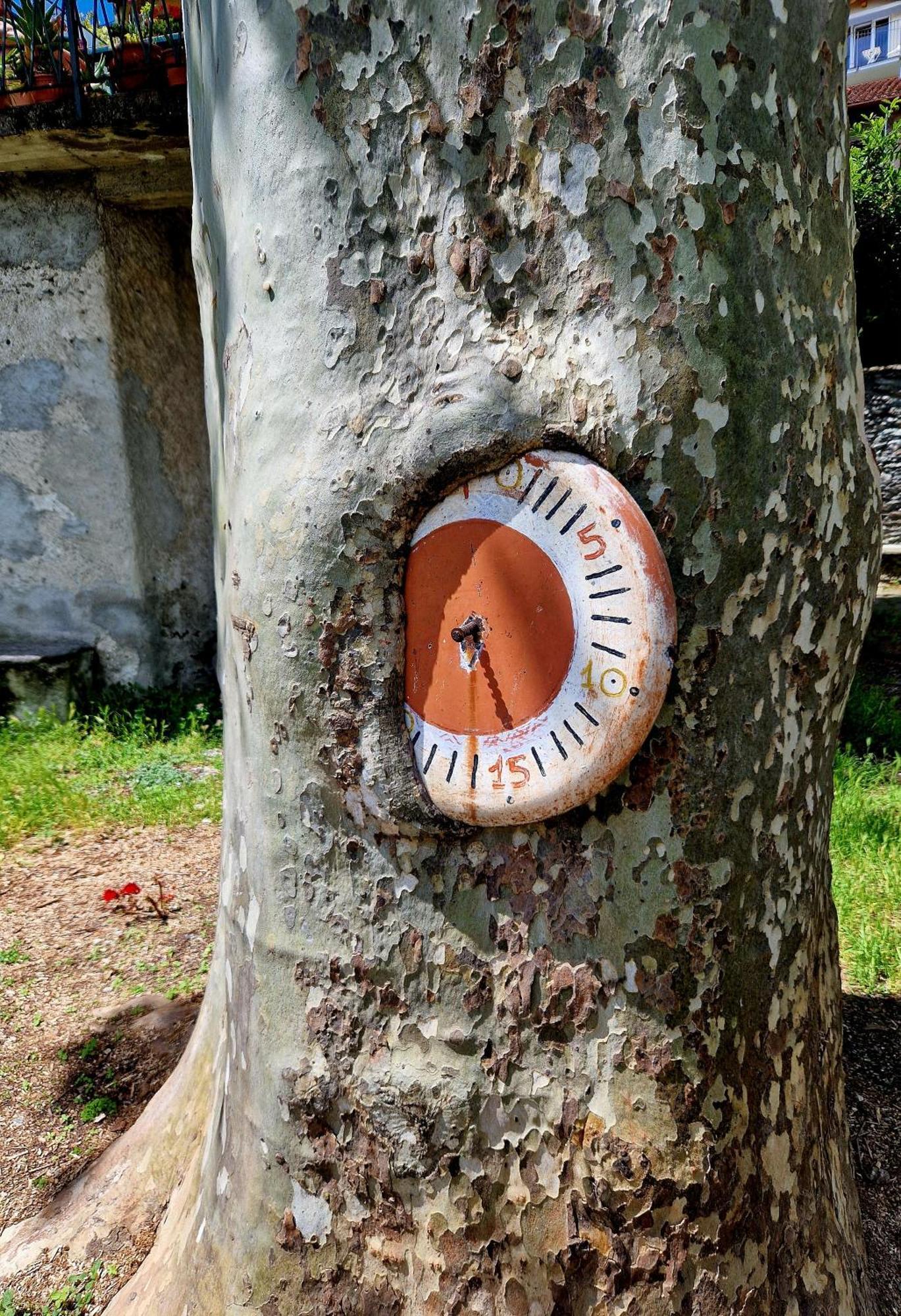 Appartamento Vichi's Nest