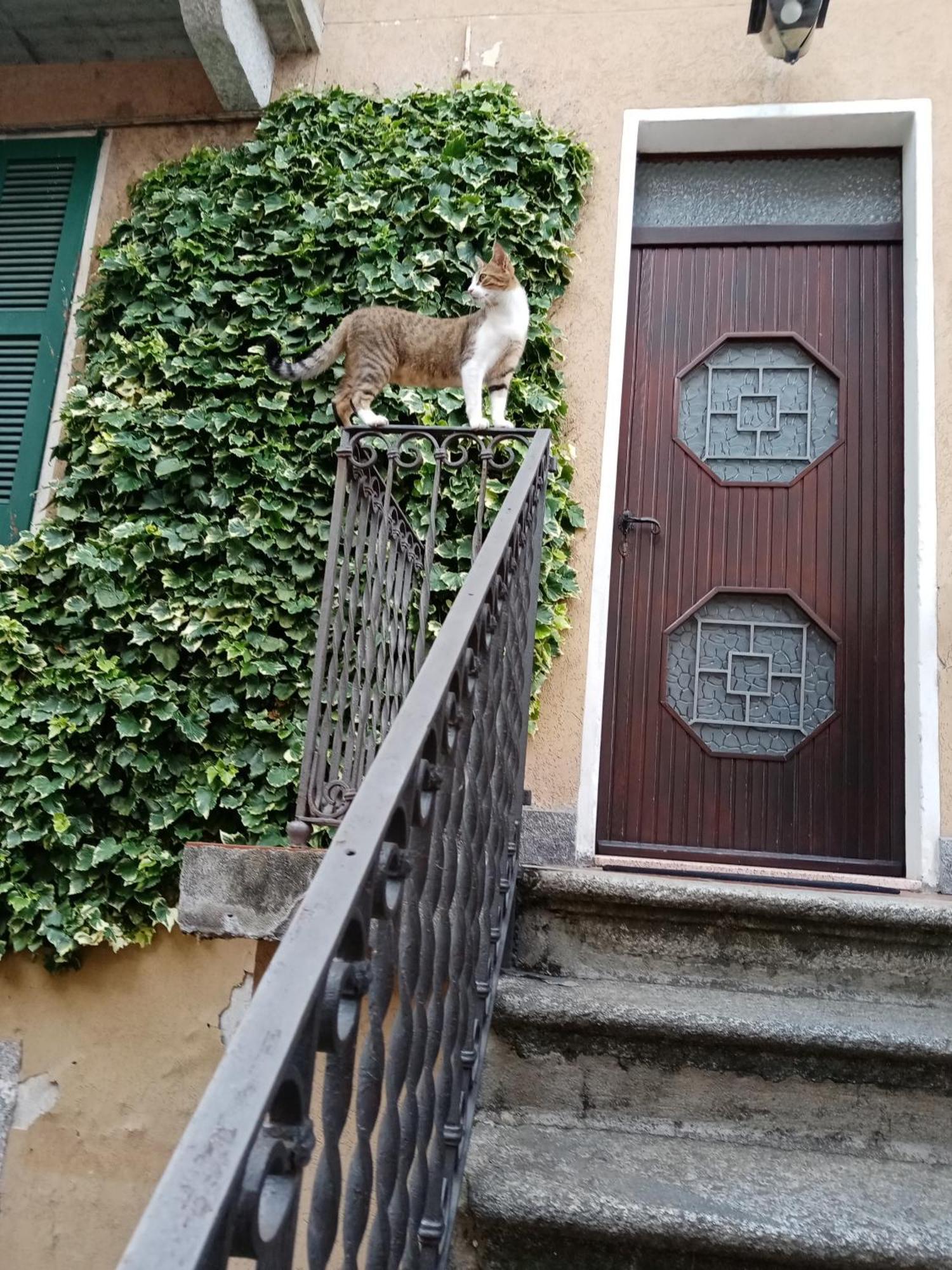 Casa Max Appartamento Onno