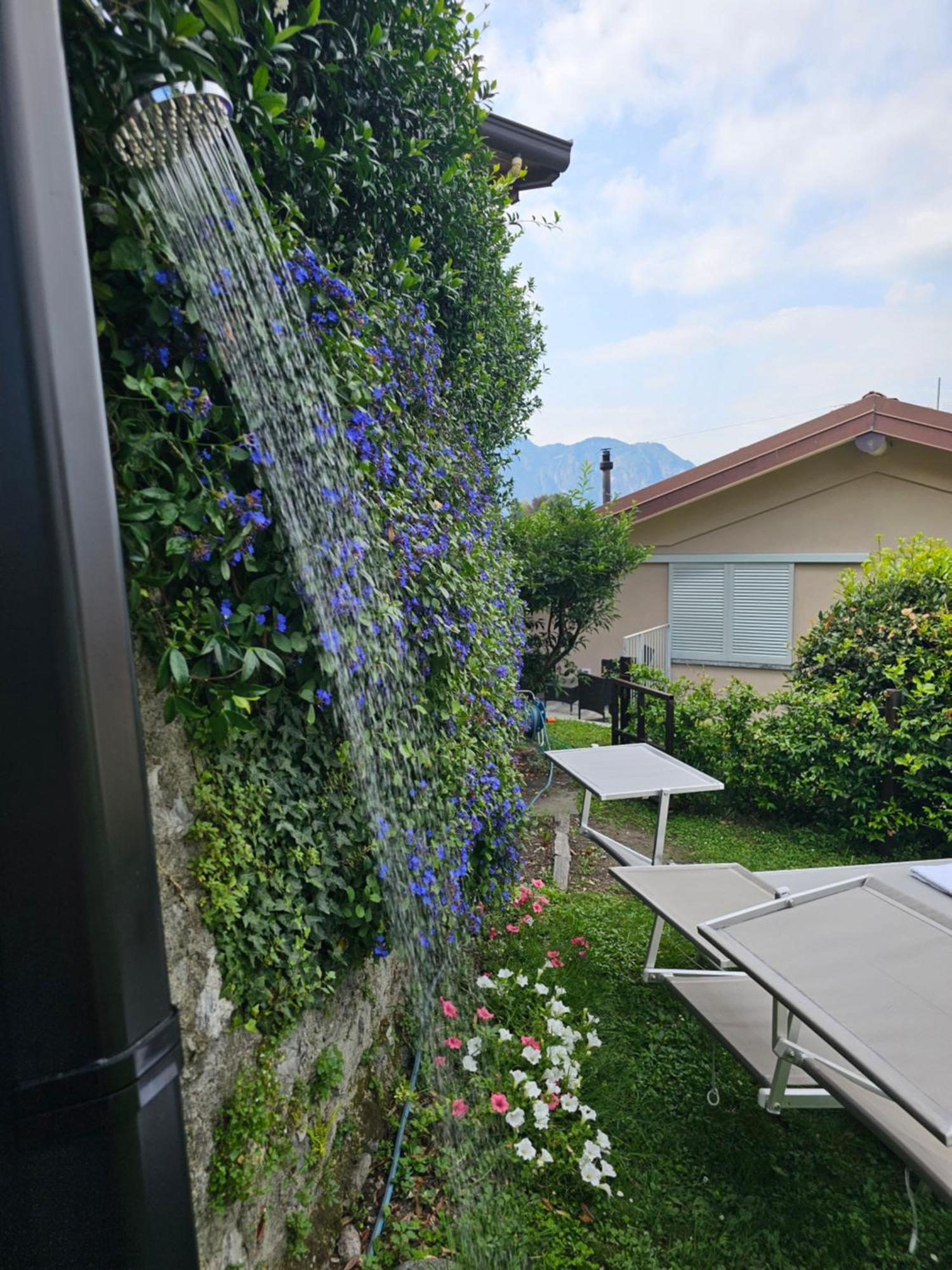 Apartment Rotonda *