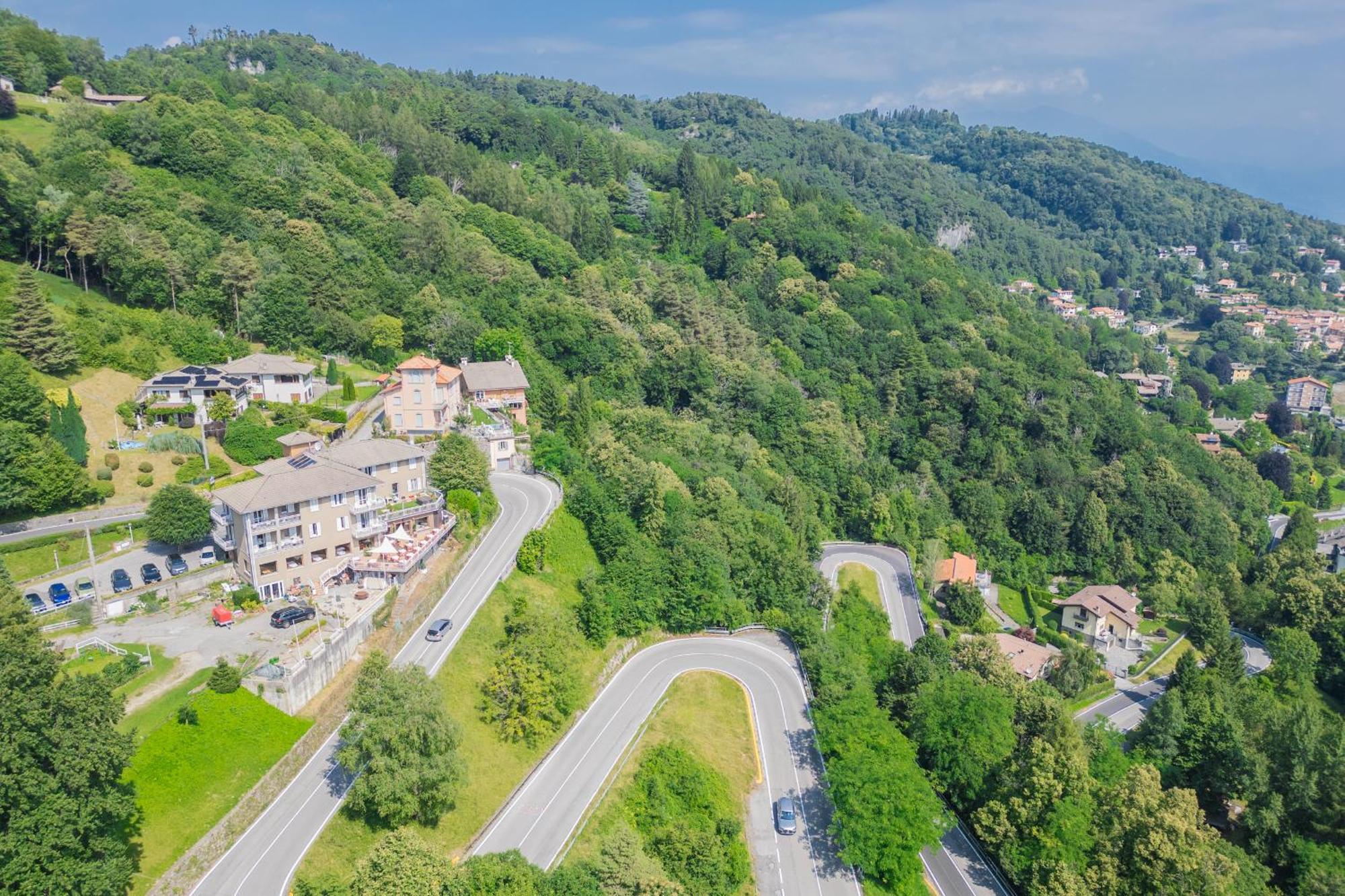 Pet Friendly Mirabeau Hotel