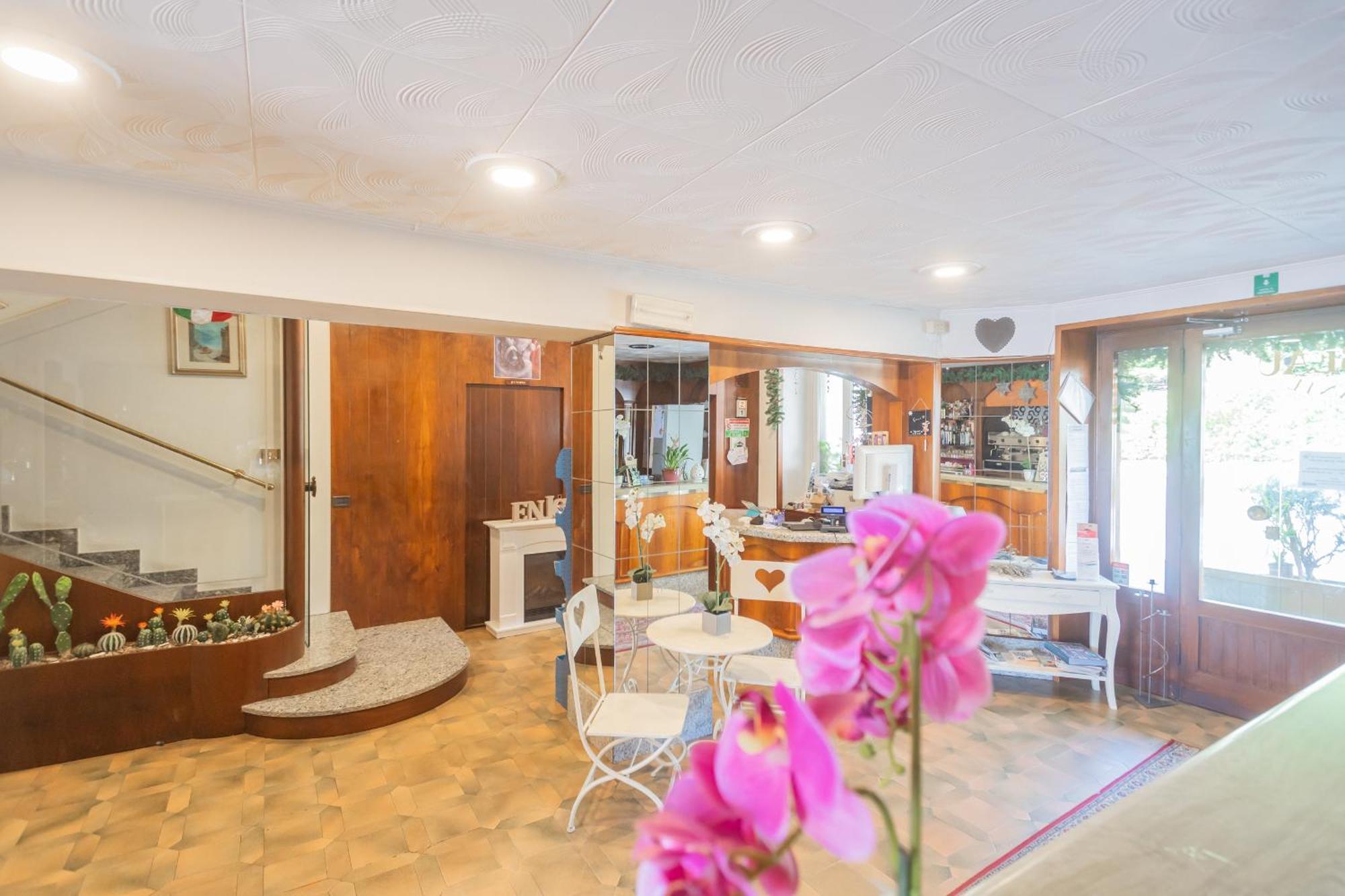 Pet Friendly Mirabeau Hotel