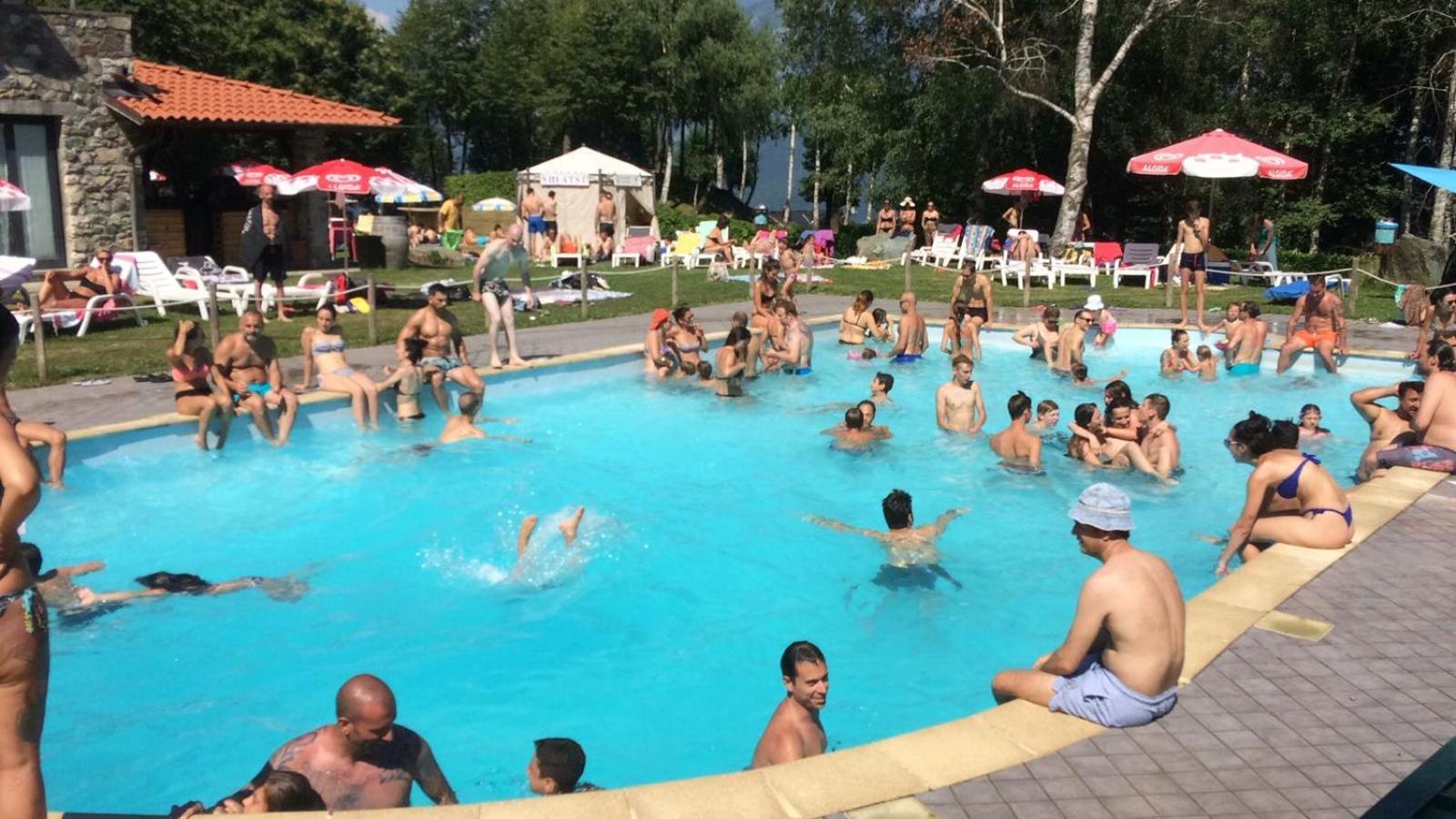 Pet Friendly Mirabeau Hotel