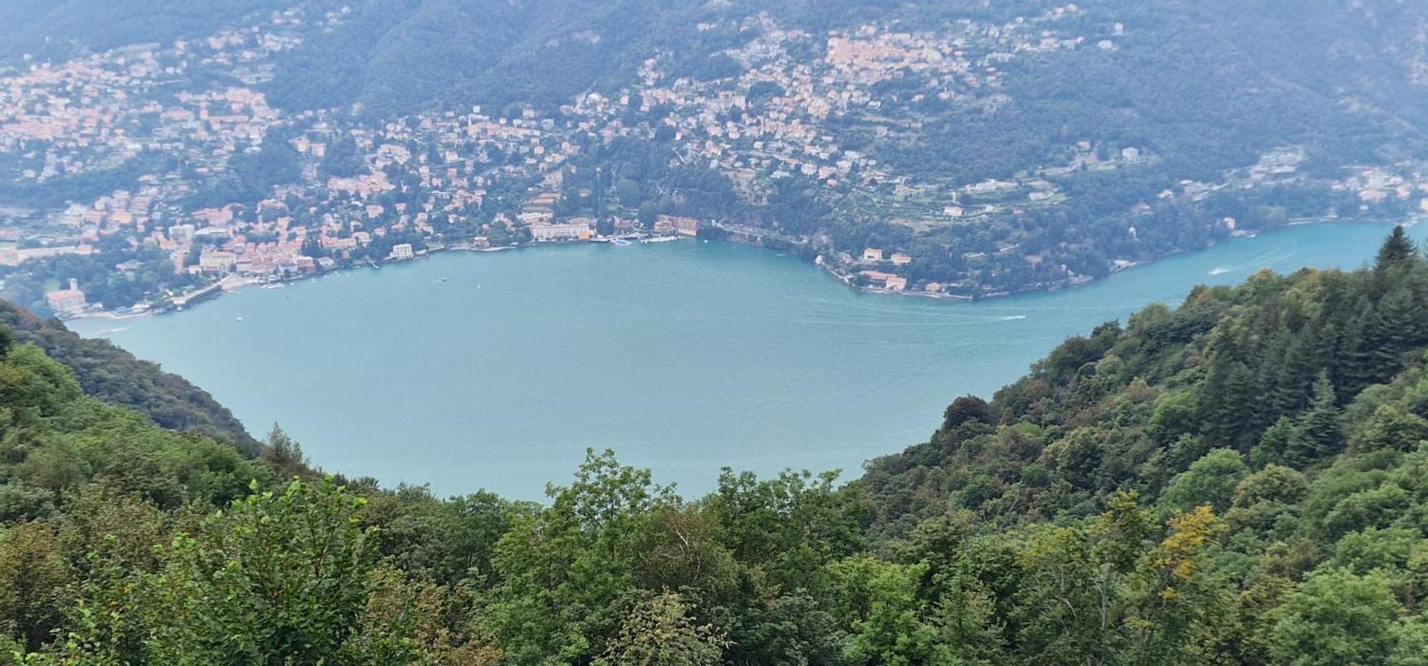 Cao * Brunate