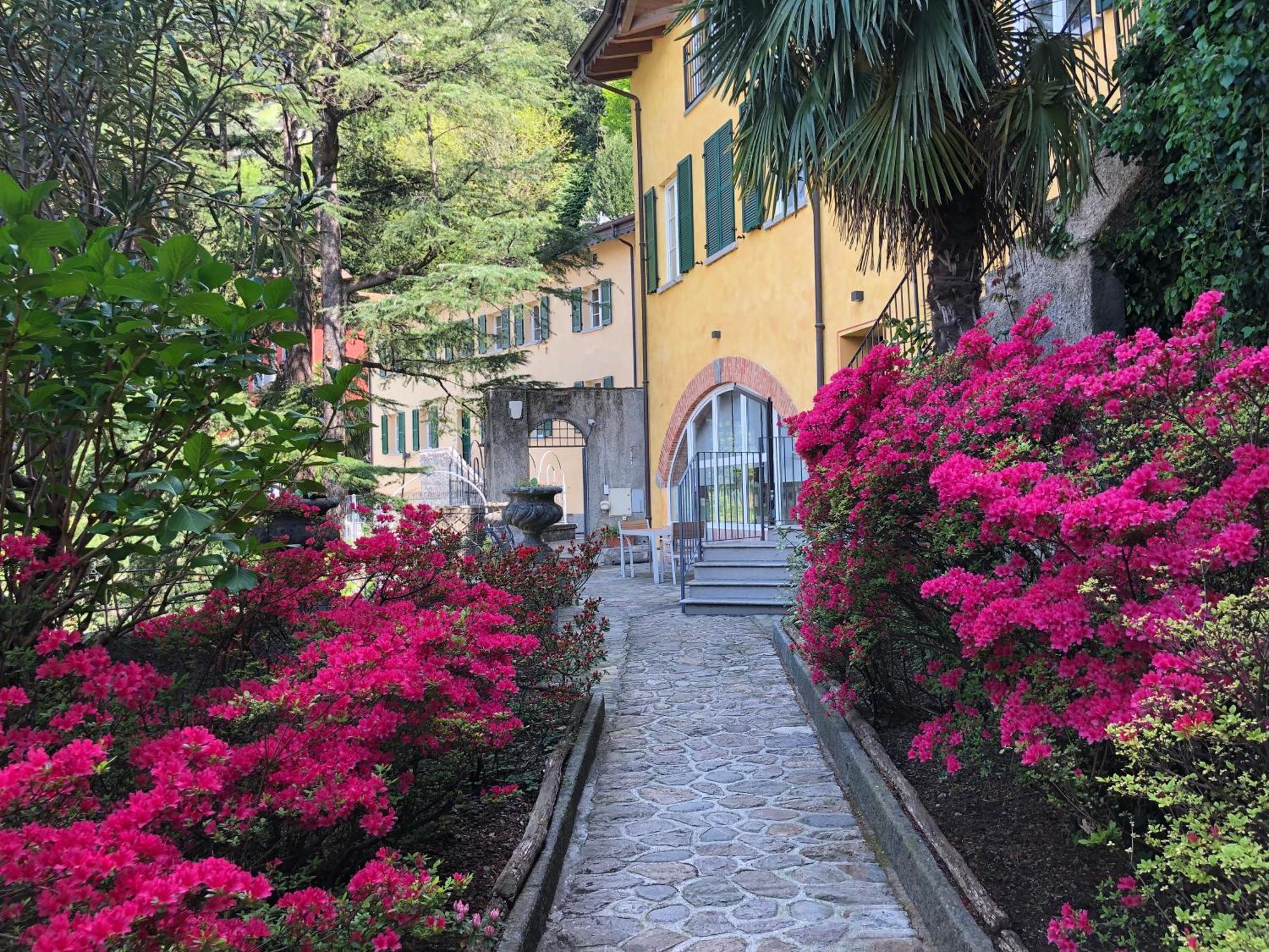 Rosa Dei Venti - View & Apartment Bellano
