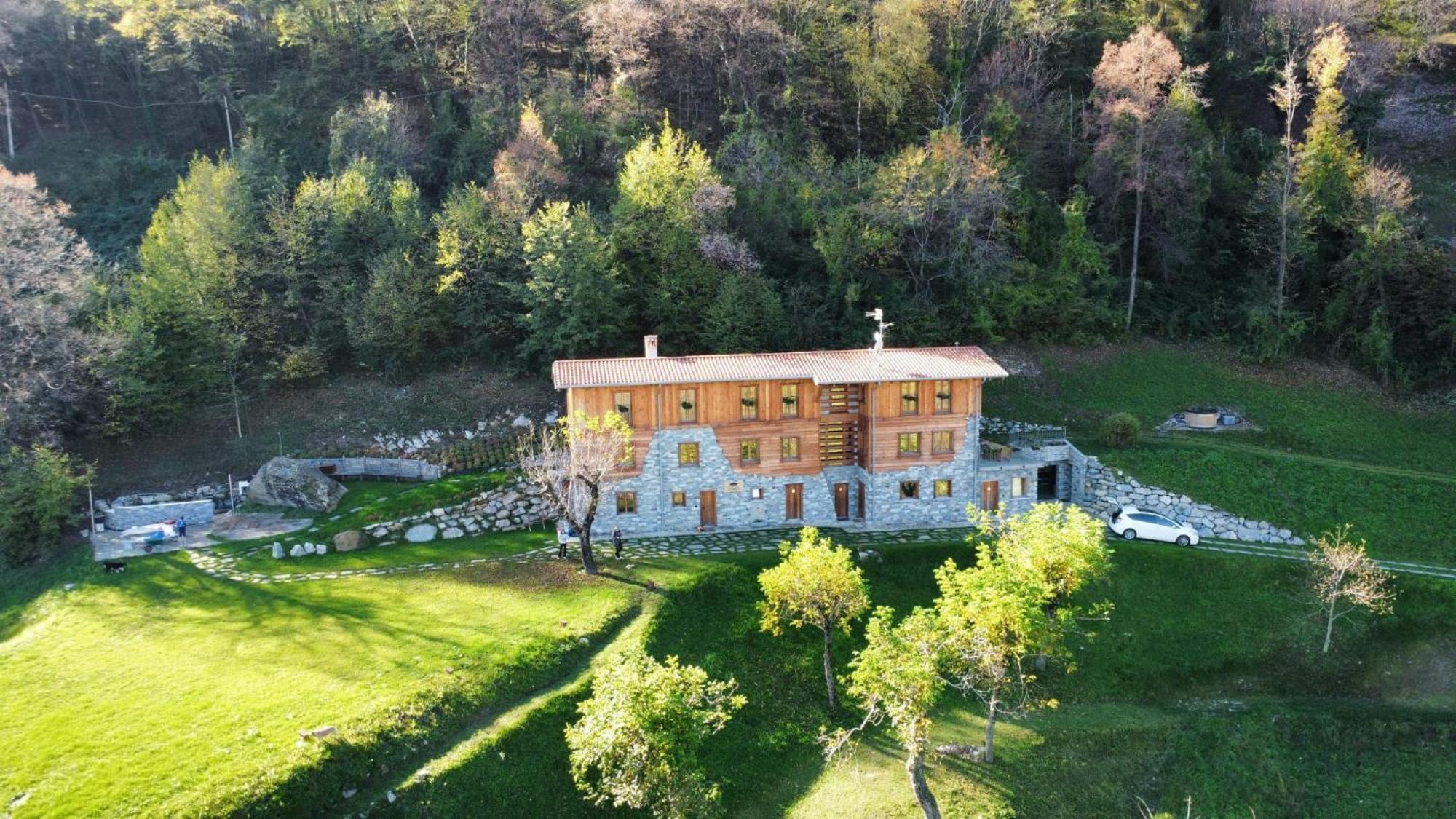 - Treeb Tramontana