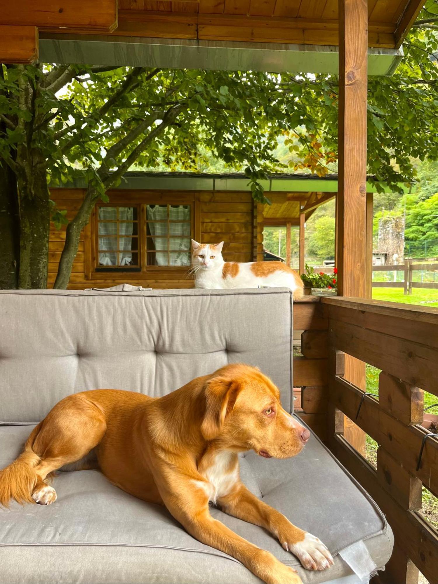 Agriturismo La Vecchia Chioderia Grandola ed Uniti