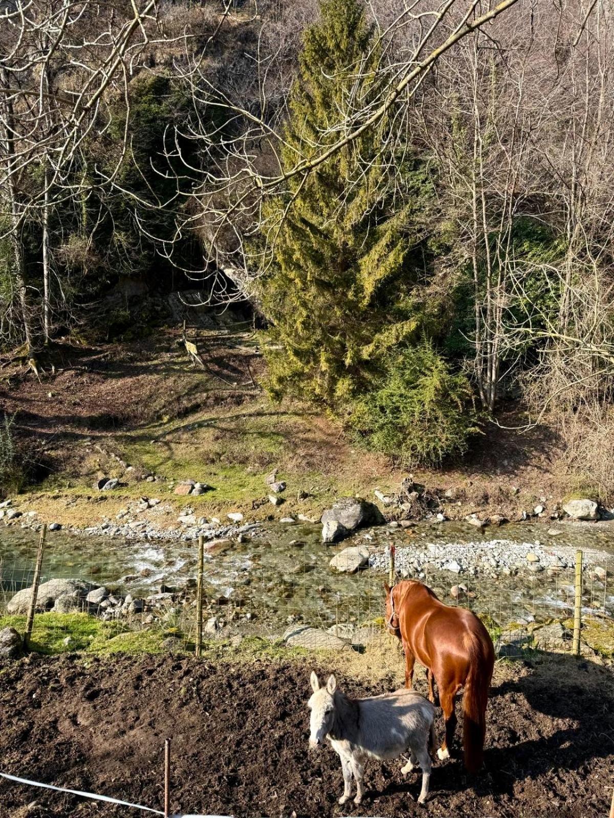 Agriturismo La Vecchia Chioderia Farm stay
