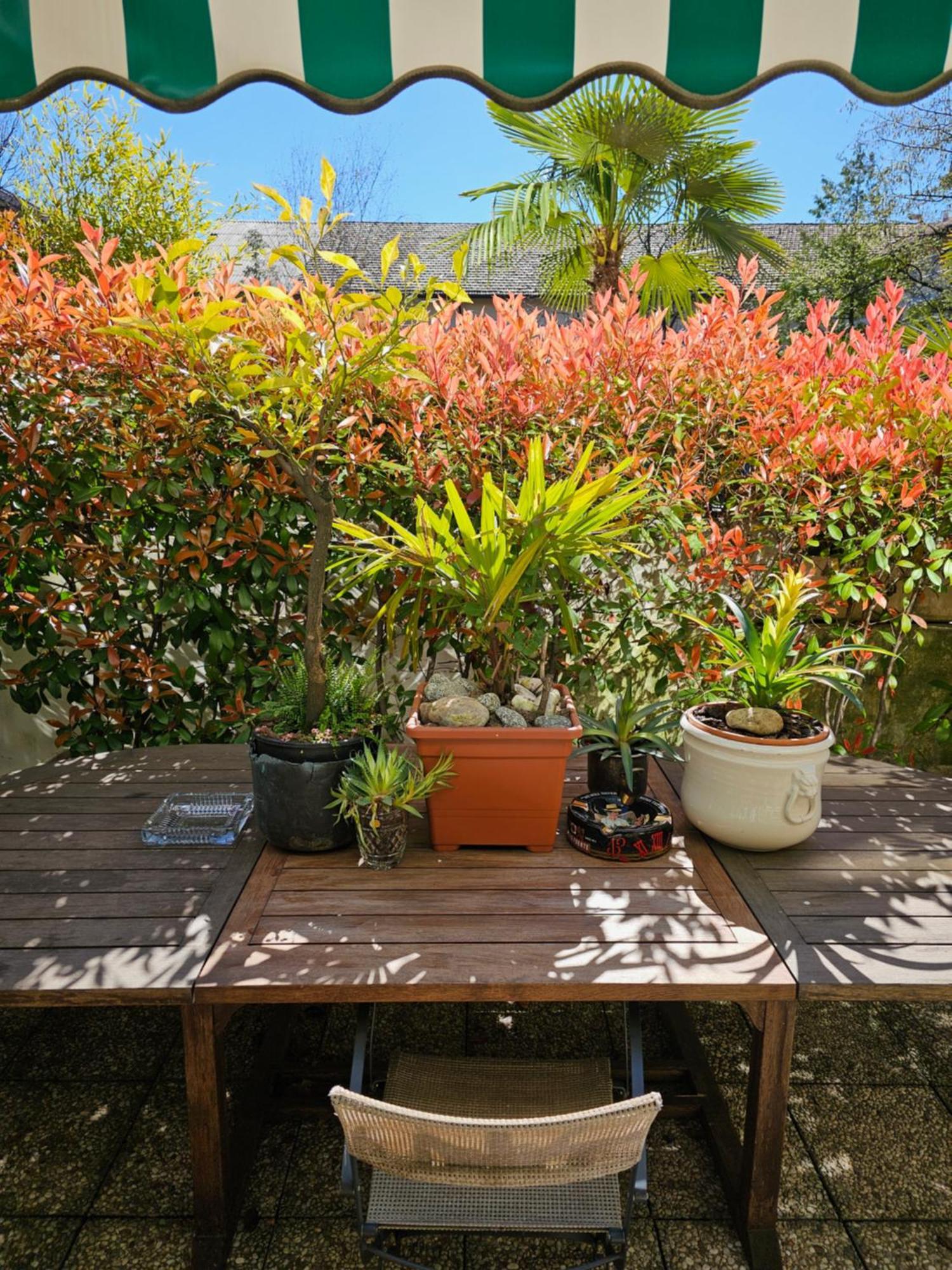 Victoria Royal Garden Aparthotel 3*