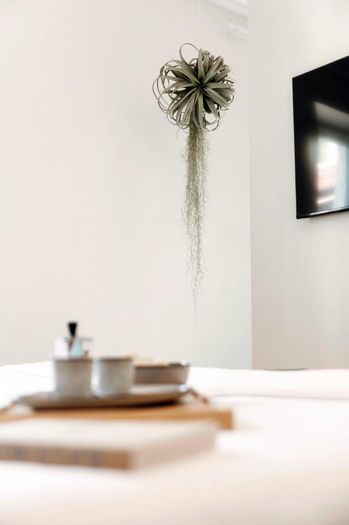 Apartment Floristeria By Quokka 360 - A Stone's Throw From The Walled Of Como
