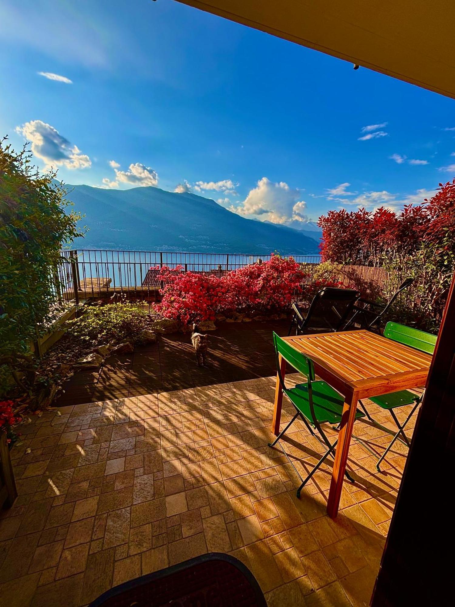 Apartment Residenza Gelsomino