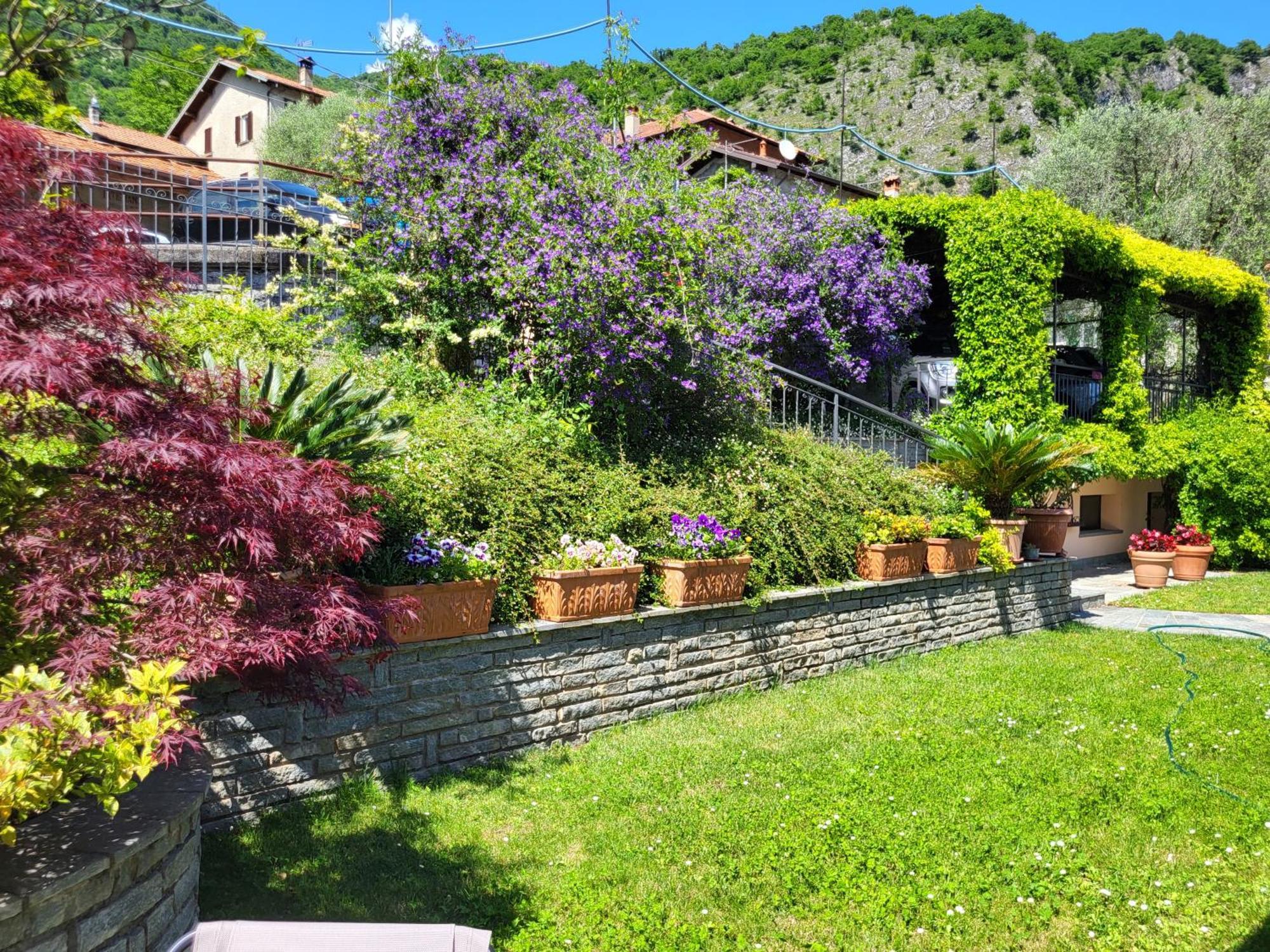 Casa Intignano - Con Terrazzo Vista Apartment Tremezzo