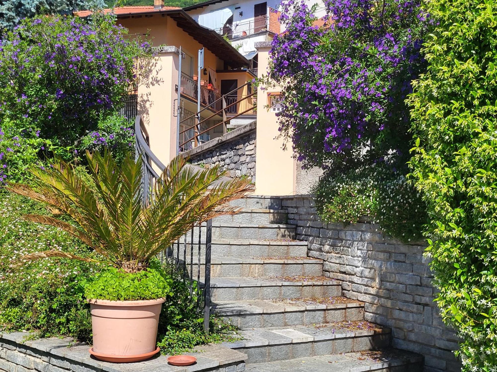 Casa Intignano - Con Terrazzo Vista *