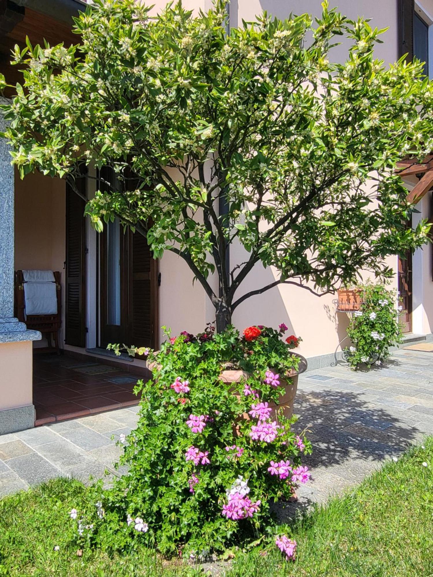 Casa Intignano - Con Bagno E Portico Vista