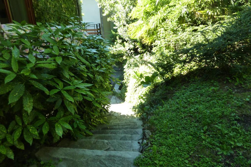 Le Ortensie -lago Di Como * Lierna