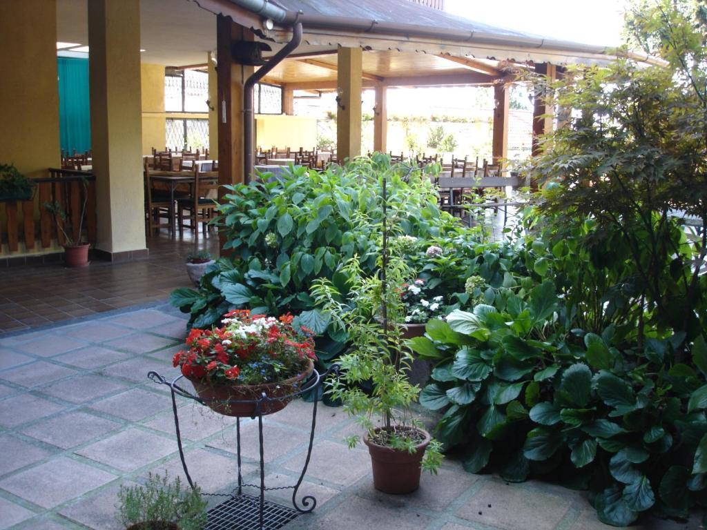 Ristorante Hotel 2*