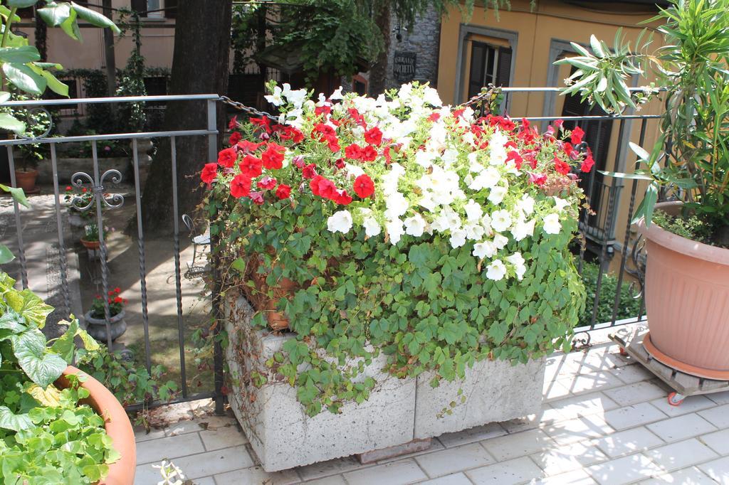 Hotel Centrale Bellagio 3*
