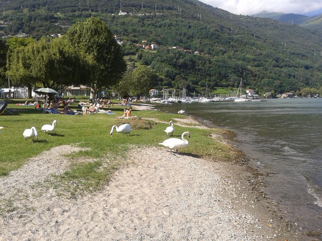 My Holidays - Eden *