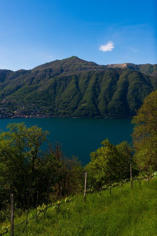 Tra E Montagna La Morena Nesso